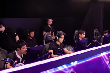 Photo #8