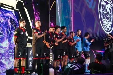 Photo #10