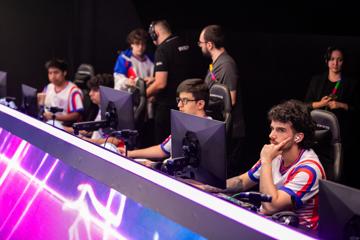 Photo #8