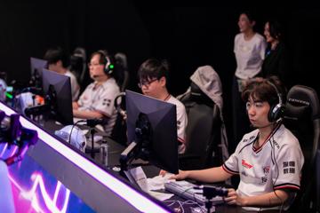 Photo #13