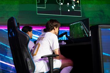 Photo #8