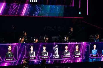 Photo #7