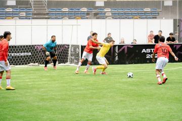 Photo #8
