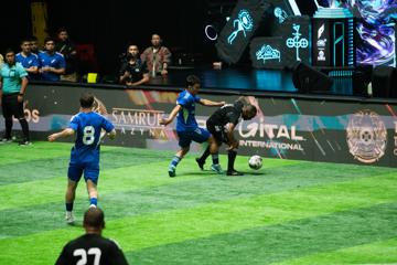Photo #10