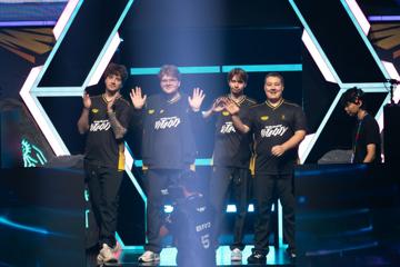 Photo #14