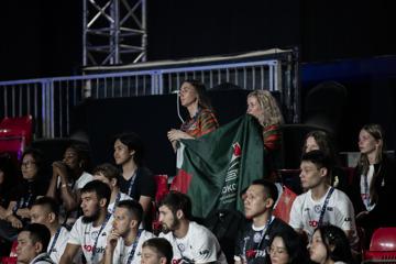 Photo #13
