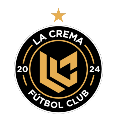 Team logo