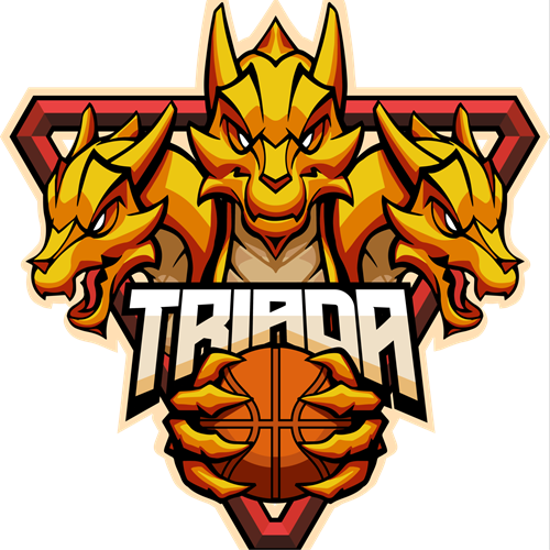 Team logo