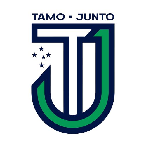 Team logo