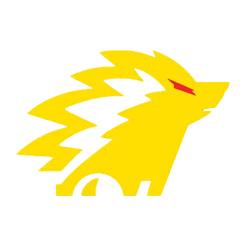 Team logo