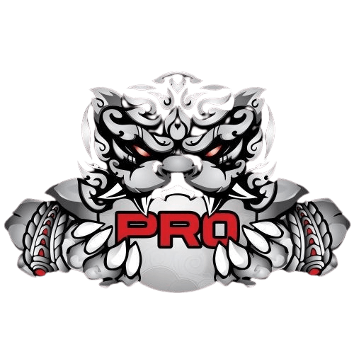 Team logo