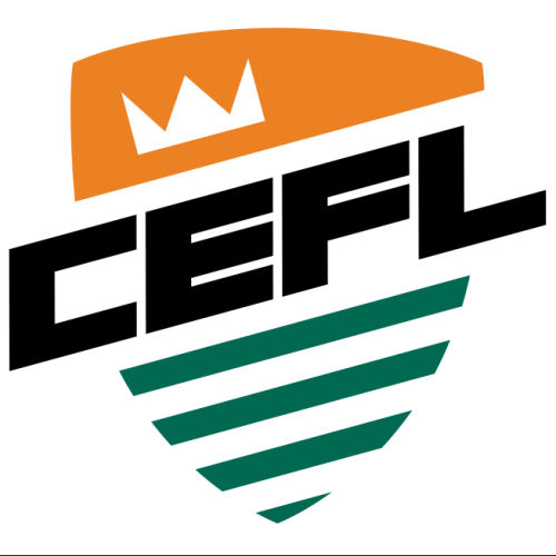 Team logo