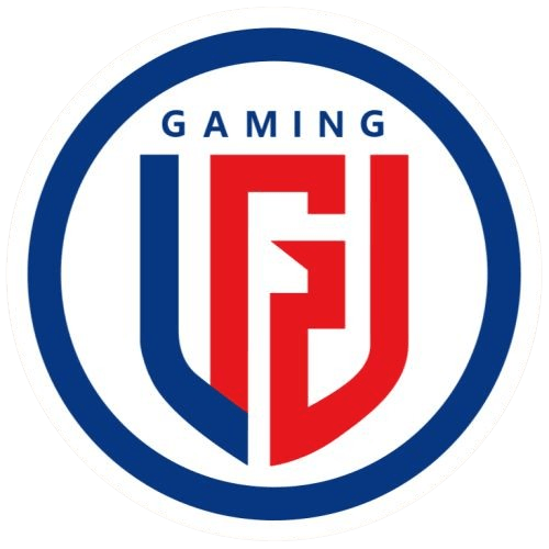 Team logo