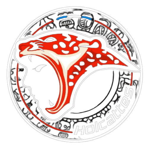 Team logo
