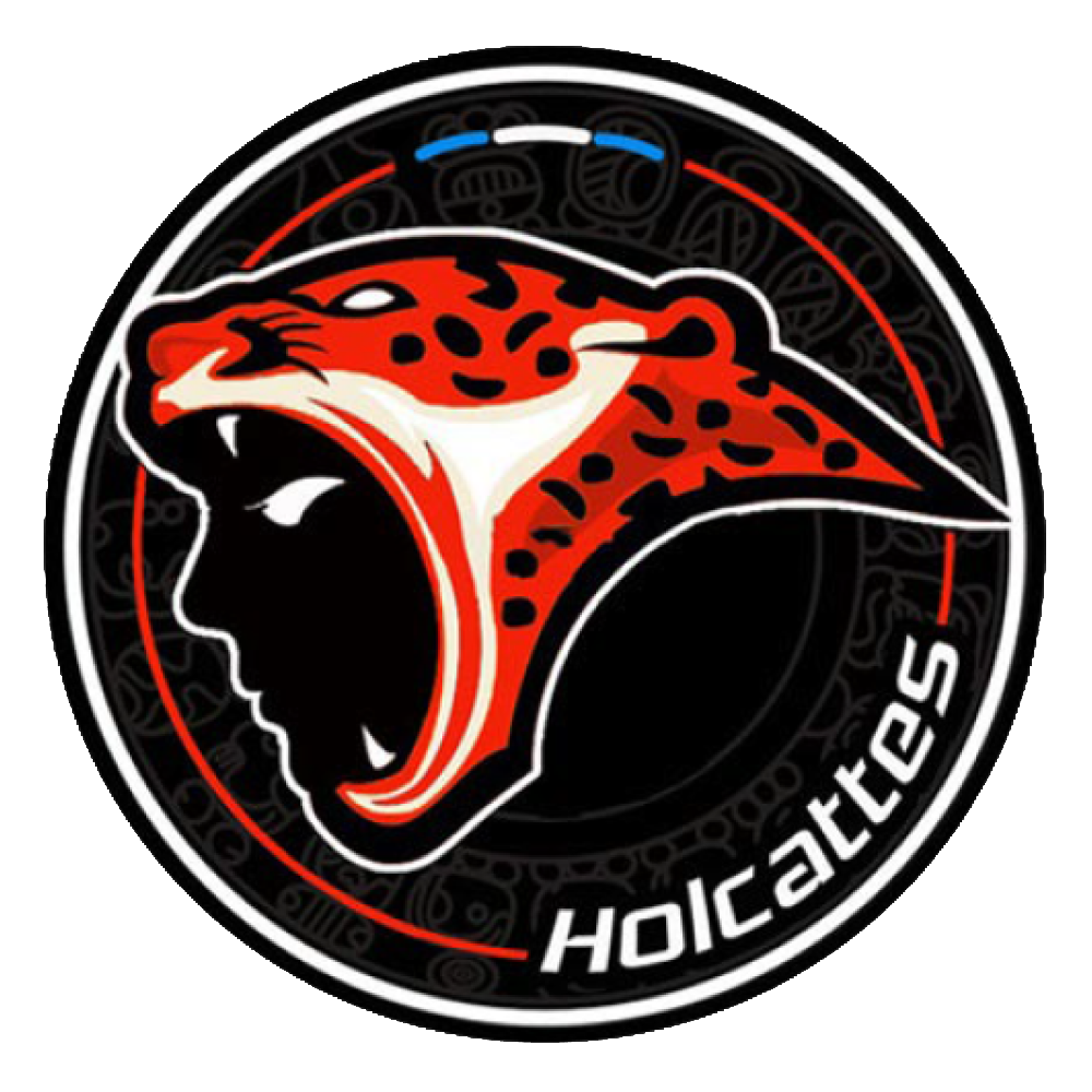 Team logo